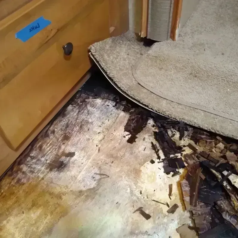 Wood Floor Water Damage in New Waterford, OH